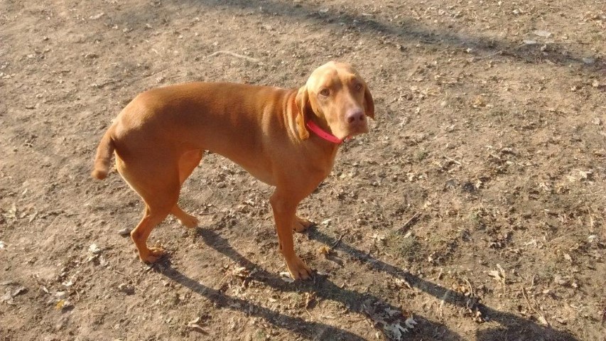 Yes I Hide the Ball!